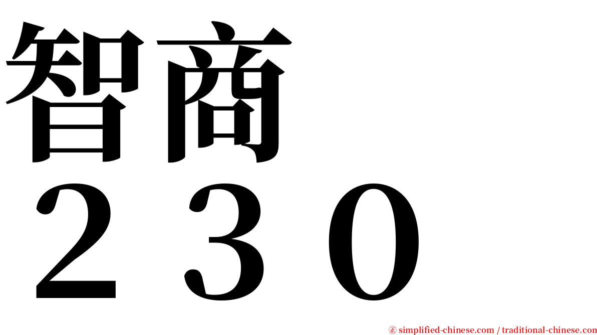 智商　　２３０ serif font